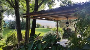 Vigna Sant’Amico Country House
