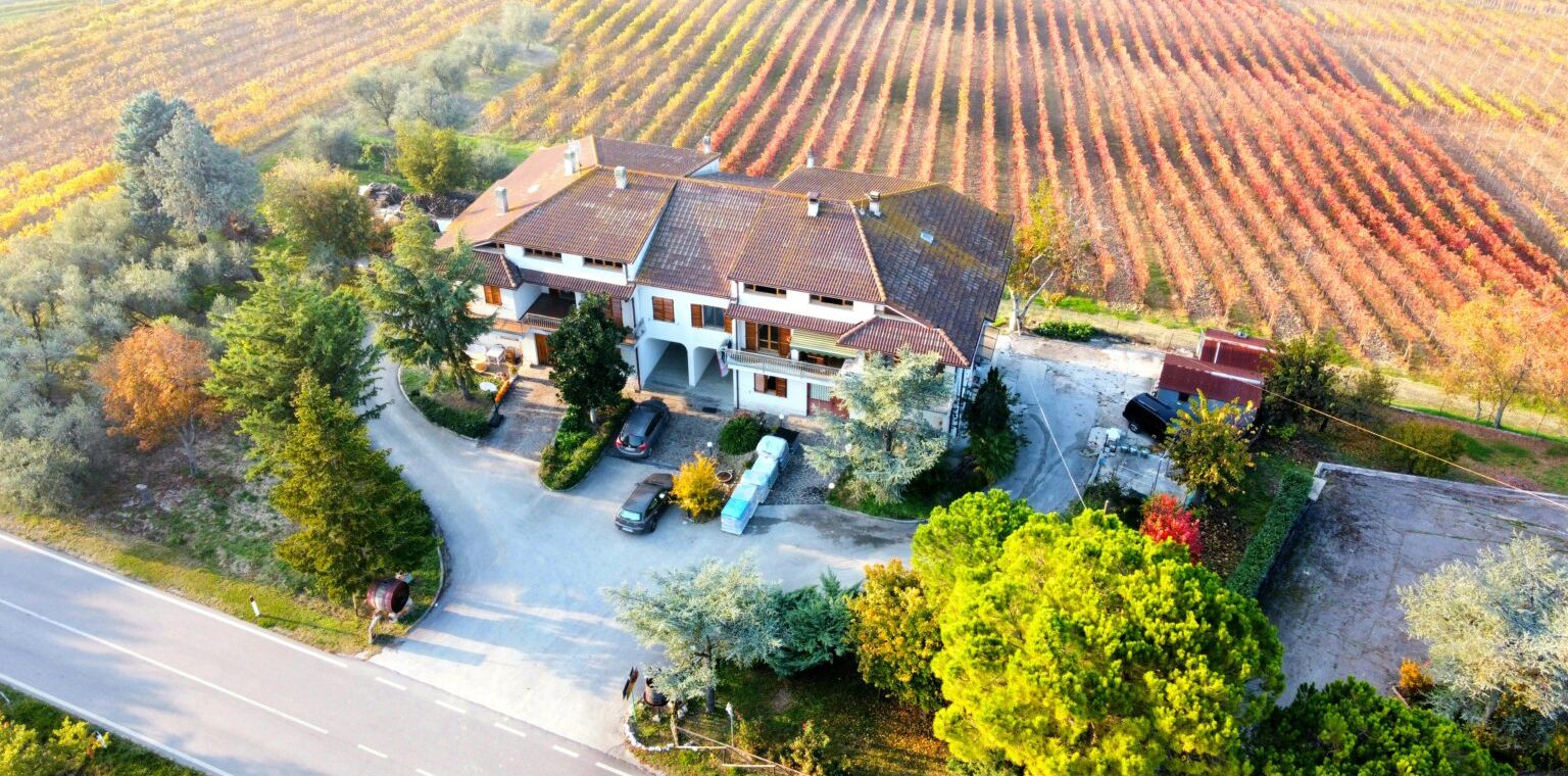 Azienda Vitivinicola Orlando Olivetti