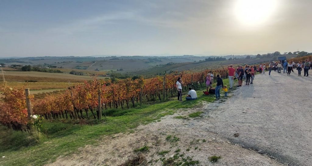 Passeggiando e degustando