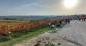 Passeggiando e degustando