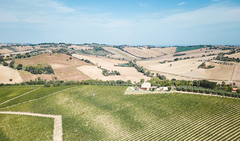 Podere Vito Cardinali