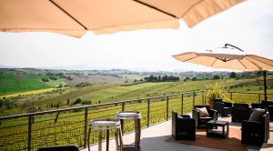Tenuta di Frà