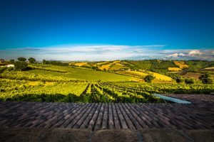 Azienda Agricola Mario Lucchetti