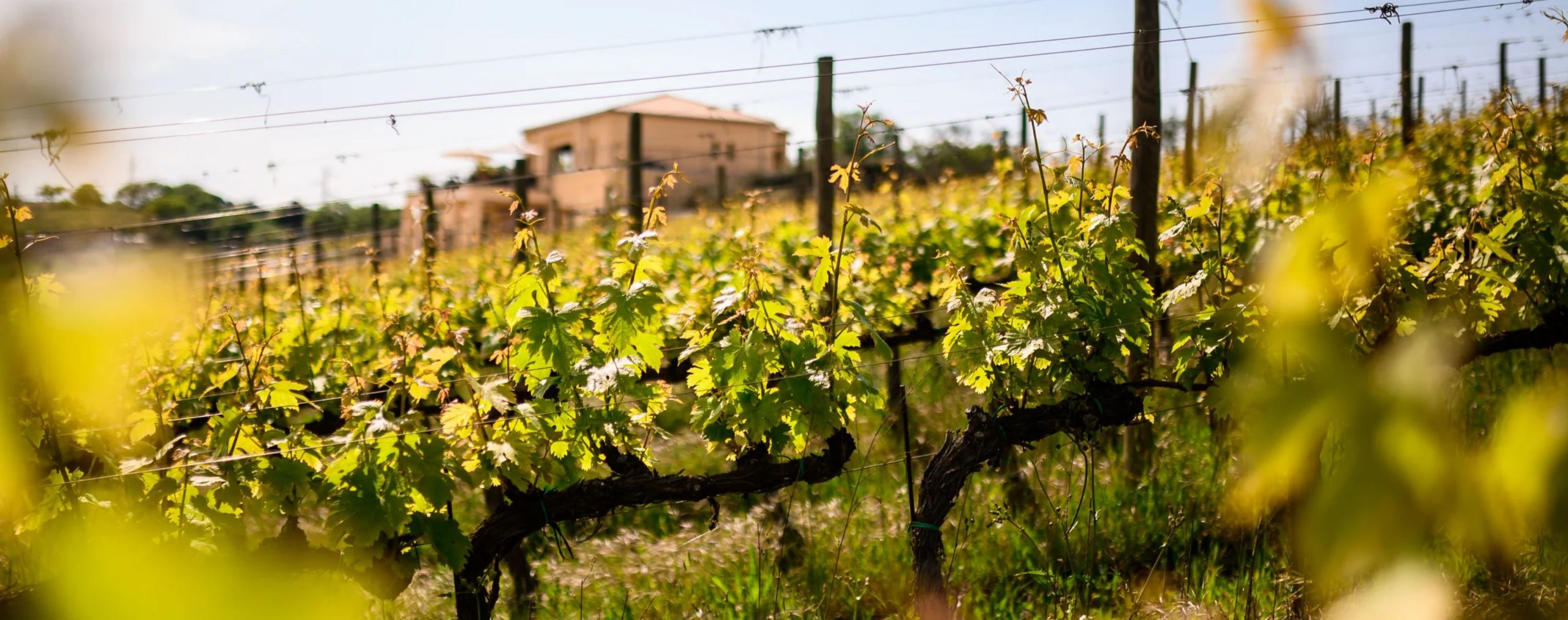 SAN AMICO – SAN PATRIGNANO andata e ritorno