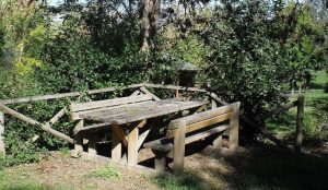 Parco Chico Mendes