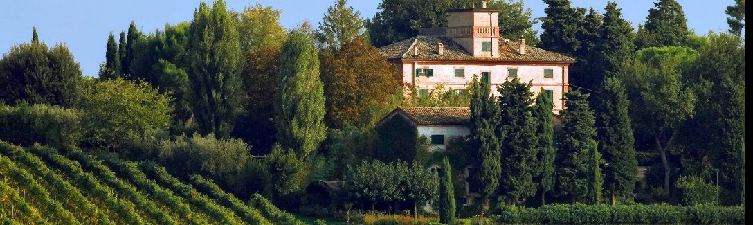 Dal Bivio della Contrada San Patrignano sino al Rientro a MORRO D’ALBA