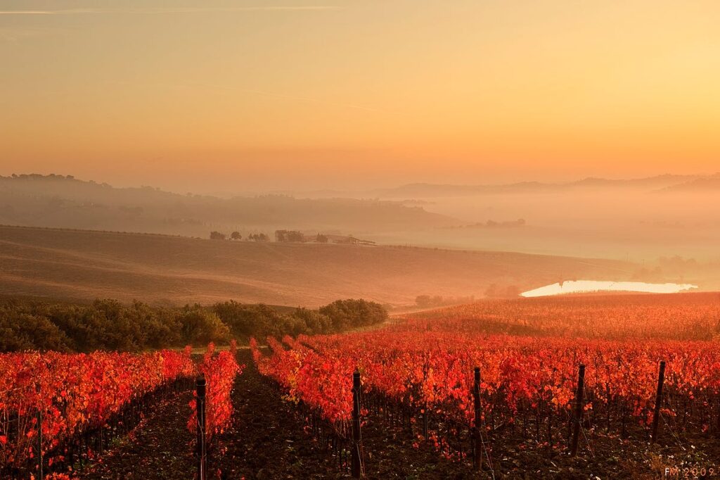 Percorsi nelle Terre del Lacrima