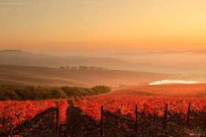 Percorsi nelle Terre del Lacrima