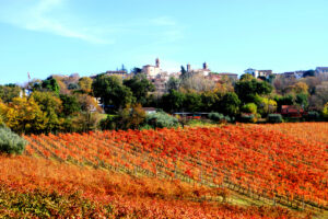Pozzo Buono- Laureto