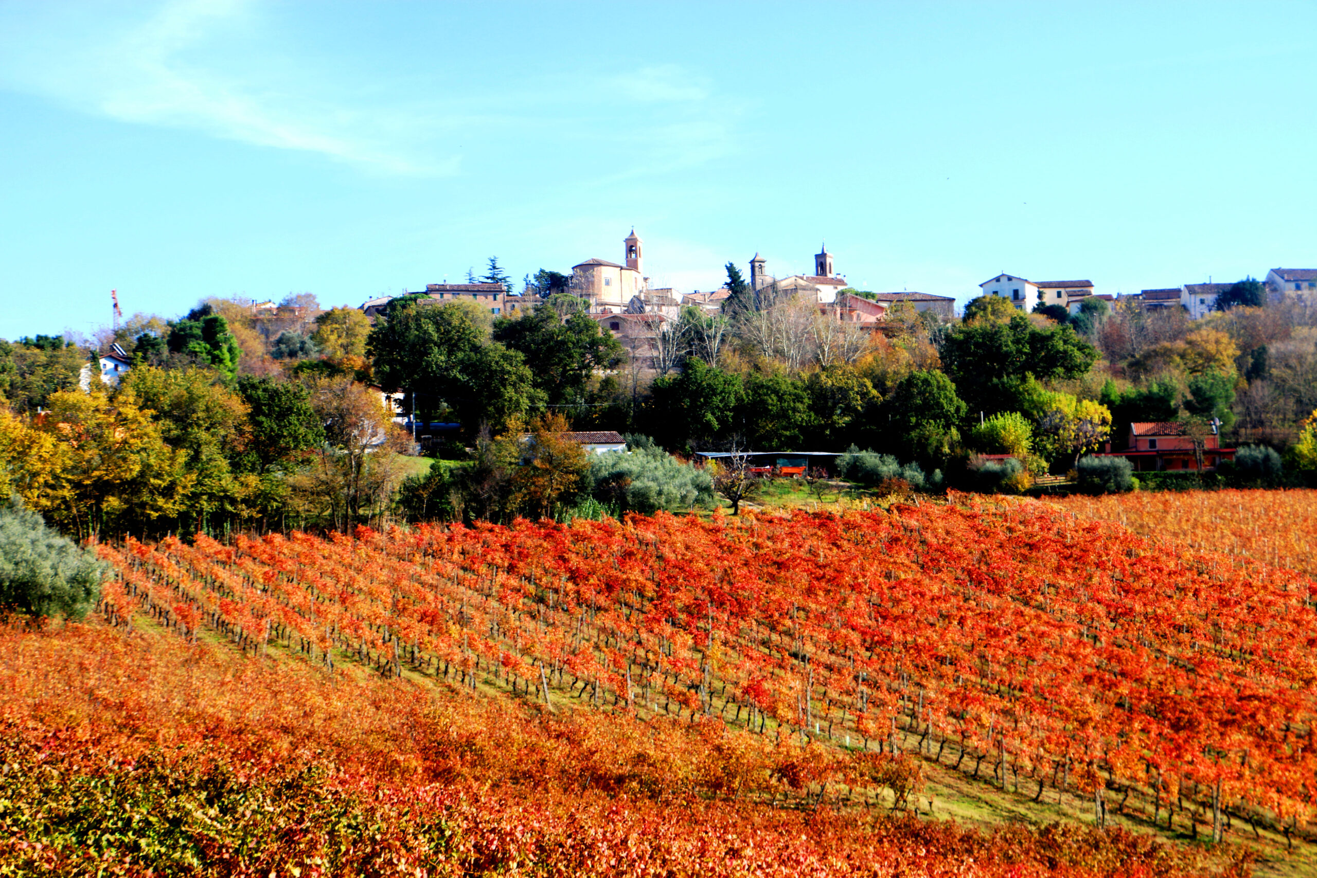 Pozzo Buono- Laureto